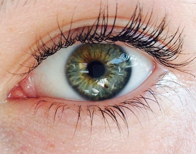 KamyronLombardo's tweet image. #swimforsight