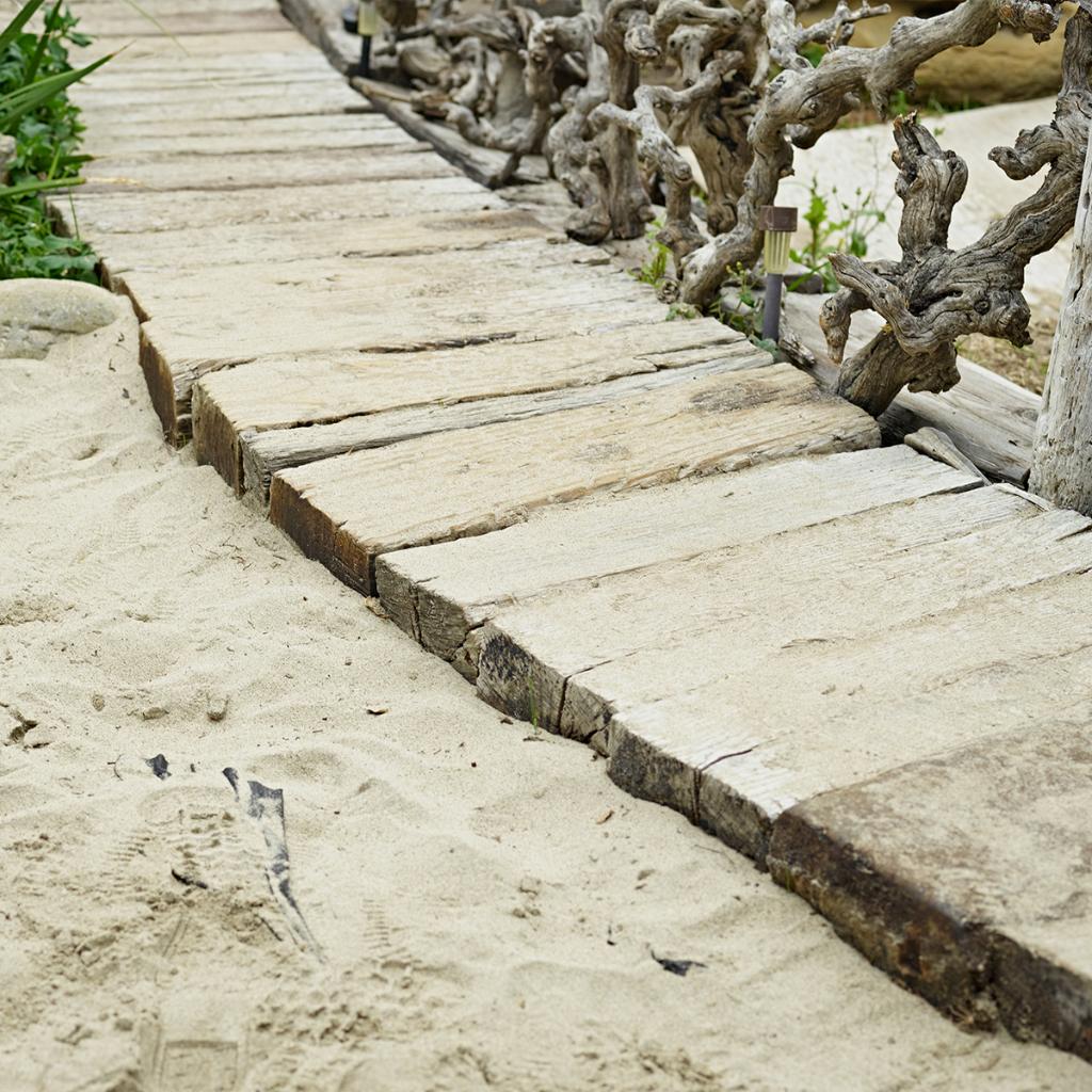 TOMS's tweet image. "If the path be beautiful, let us not ask where it leads." — Anatole France