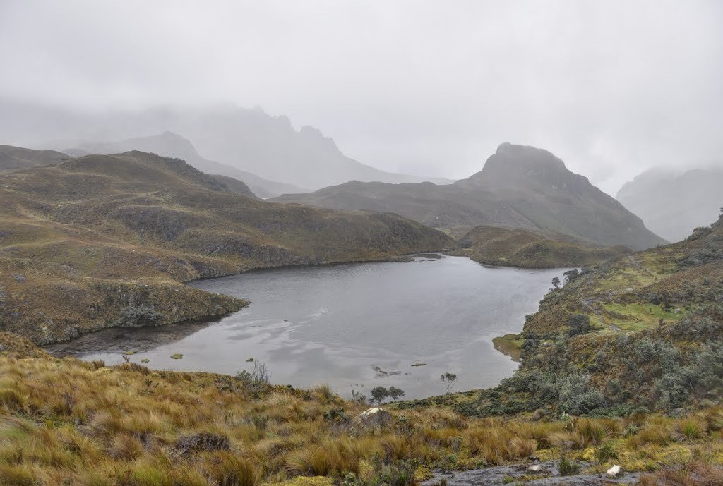 gozeapp's tweet photo. Laguna Patoquinuas from El Cajas, Ecuador. #Goze https://t.co/PXwxSvlE4V