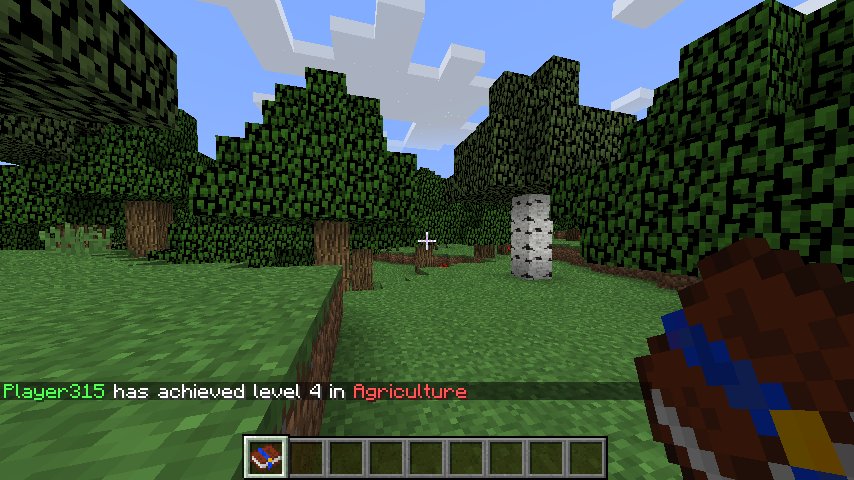 FatalityND's tweet image. When levelling up your skills in SkillCraft, it now sends a message to everyone #Minecraft #MinecraftForge