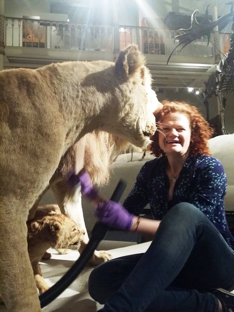 National Museums Scotland tweet media