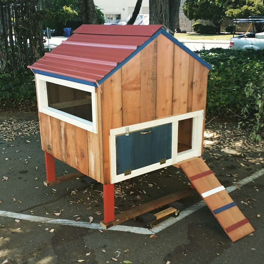 PaulRarePoultry's tweet photo. #coop #minicapecodcoop https://t.co/OoO1K16RFr