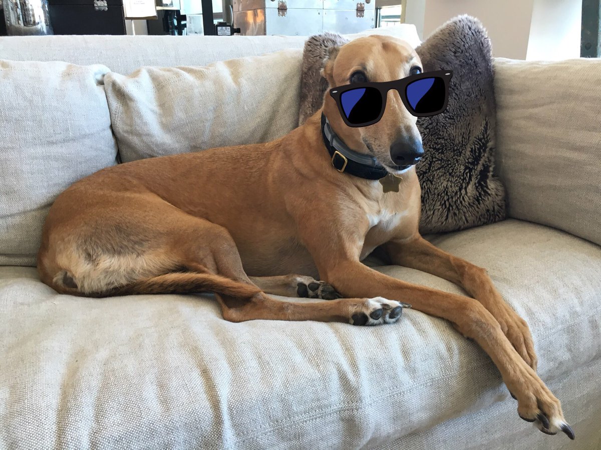 HunterHayes's tweet photo. Thank you @Twitter! If it wasn't for you I'd never get to see Cole wearing sunglasses! https://t.co/CSPv2wOM1f