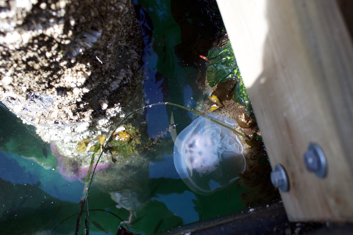 We went to Galiano Island this weekend with <a href="/VRC_Lifestyle/">VRC</a> Stay tuned for the blog post #VRCLifestyle #ExploreBC