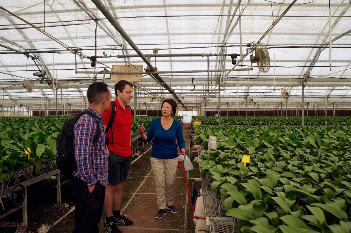@feedcollab Summer Fellows interview Matsui Orchards to gain #Empathy for owners &amp; operators of farming businesses