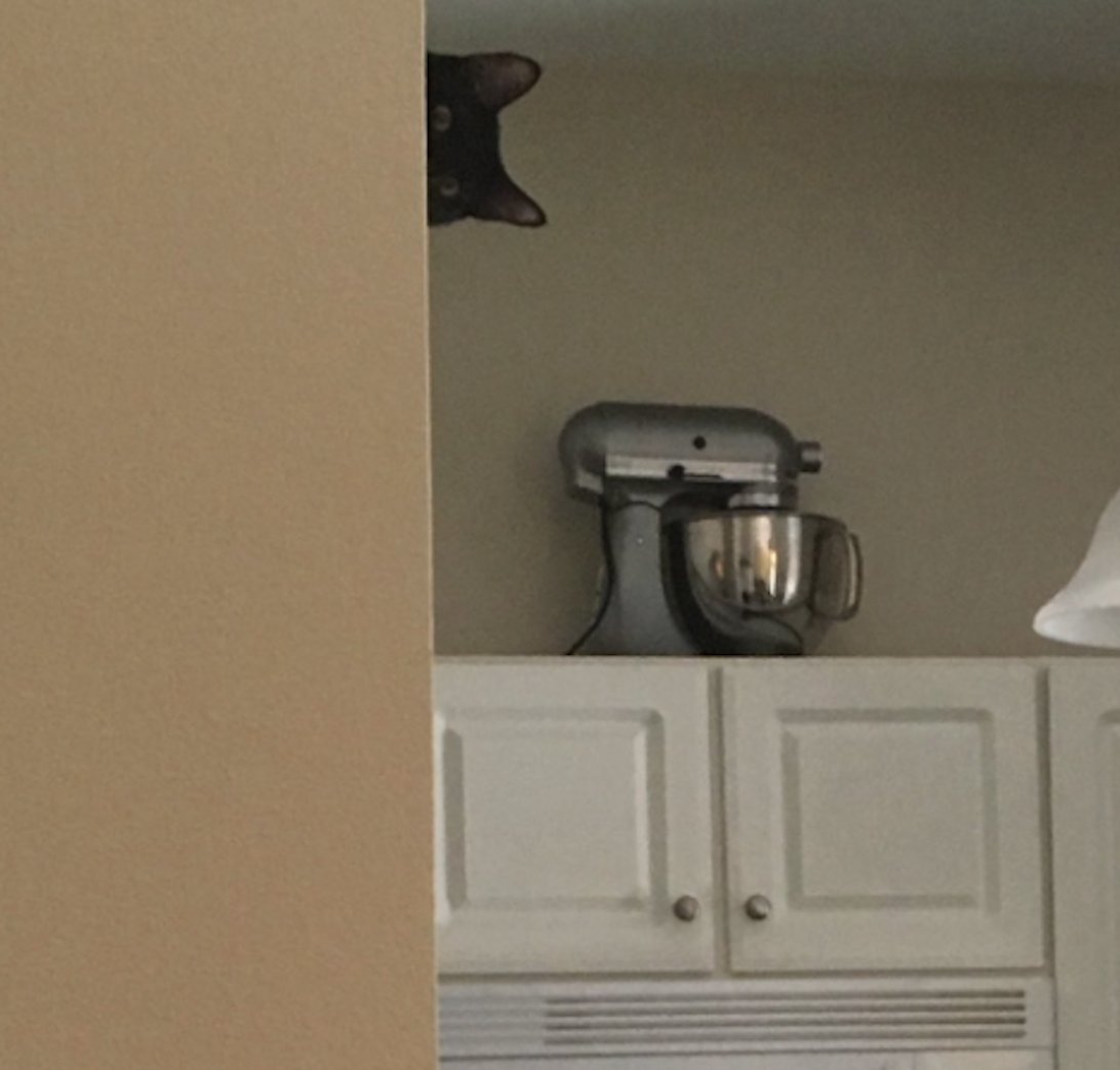 SweeetTexter's tweet image. When you hear ur name brought up in a conversation that you aren&apos;t involved in