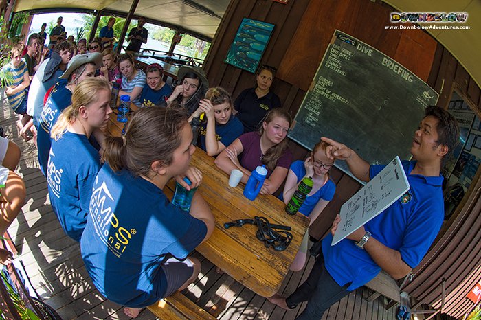divedownbelow's tweet photo. #StudyInParadise w/ #ProfessionalInstructors at @divedownbelow #PADI#OpenWaterCourse #Sabah https://t.co/LoW2RoMYGi https://t.co/PdKF4qnoI6