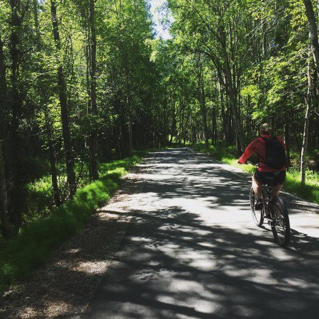 bimtrio's tweet photo. Review Attractions that you must visit when in anchorage, alaska https://t.co/779qLT6mMU https://t.co/ptpdxIKycu