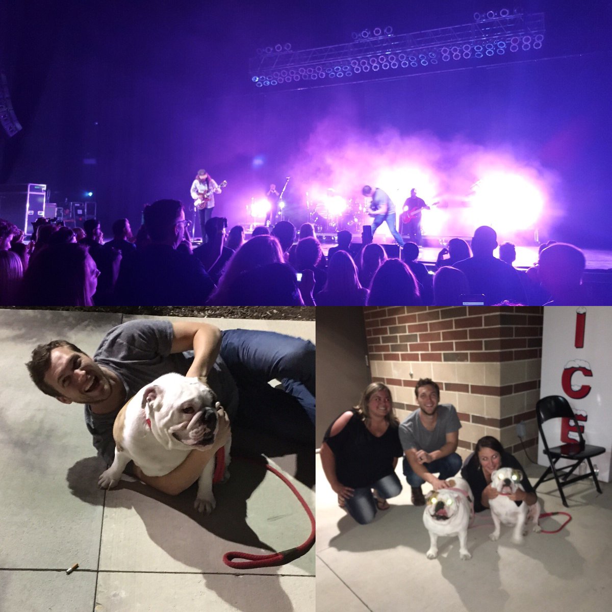 Phillips's tweet photo. 2 photos of the night! @DessertCup and @PhillipPhever ! How amazing are these dogs?! I'm in love with them. https://t.co/6tz7yXBkbp