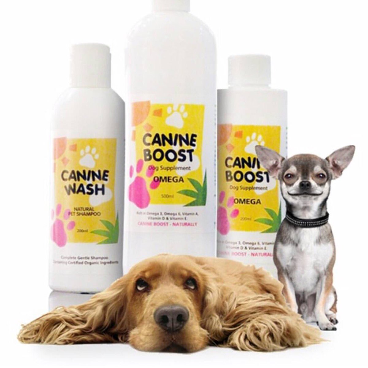 sendmesocial's tweet photo. NEW: #CanineBoost. Omega 3 Fatty Acids, Vitamins E, A &amp; D, enhancing #dogs health &amp; eliminating skin disorders. https://t.co/ZXwNQPiHB9