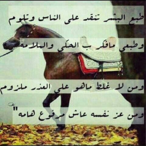 حبيبة^أبوووها@ (@1561ht) on Twitter photo 
