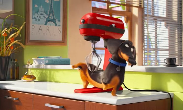 DogStar Life tweet media