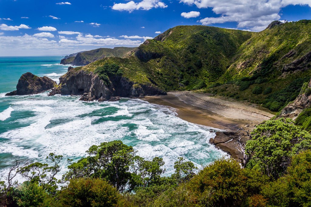 Whites Beach, Auckland, New Zealand