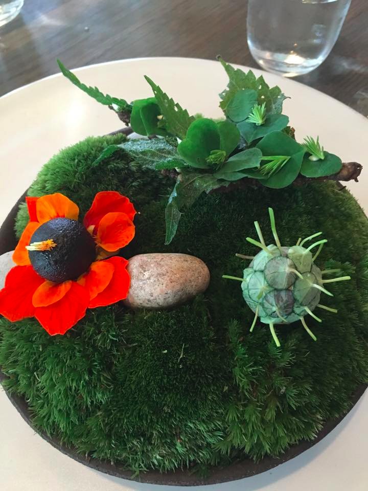 Adam Fleischman tweet media