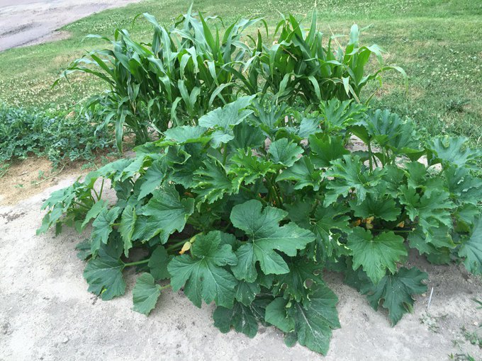 So excited https://t.co/aufvY5CBeS