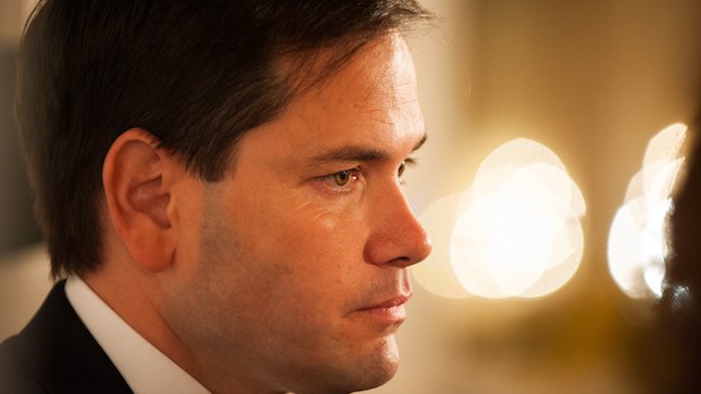 thehill's tweet image. Reid: Rubio should be sued for not showing up hill.cm/61S7dbB