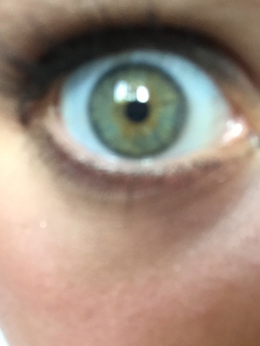 havenjewel22's tweet image. #swimforsight