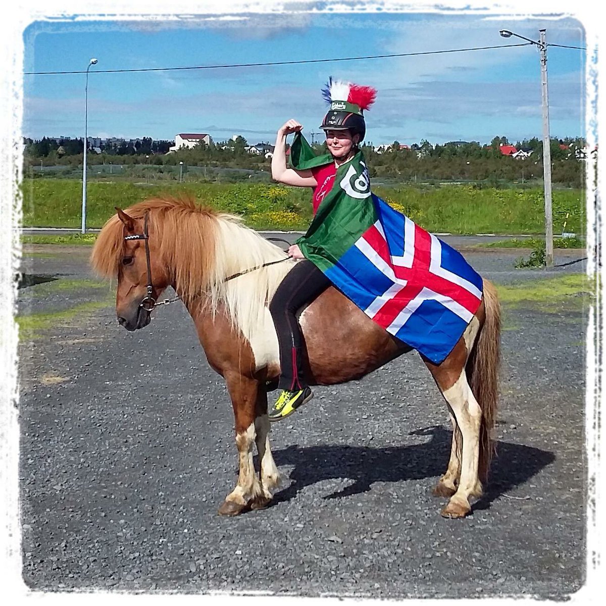 Go #Iceland #EURO2016 #emisland reykjavikridingcenter.is