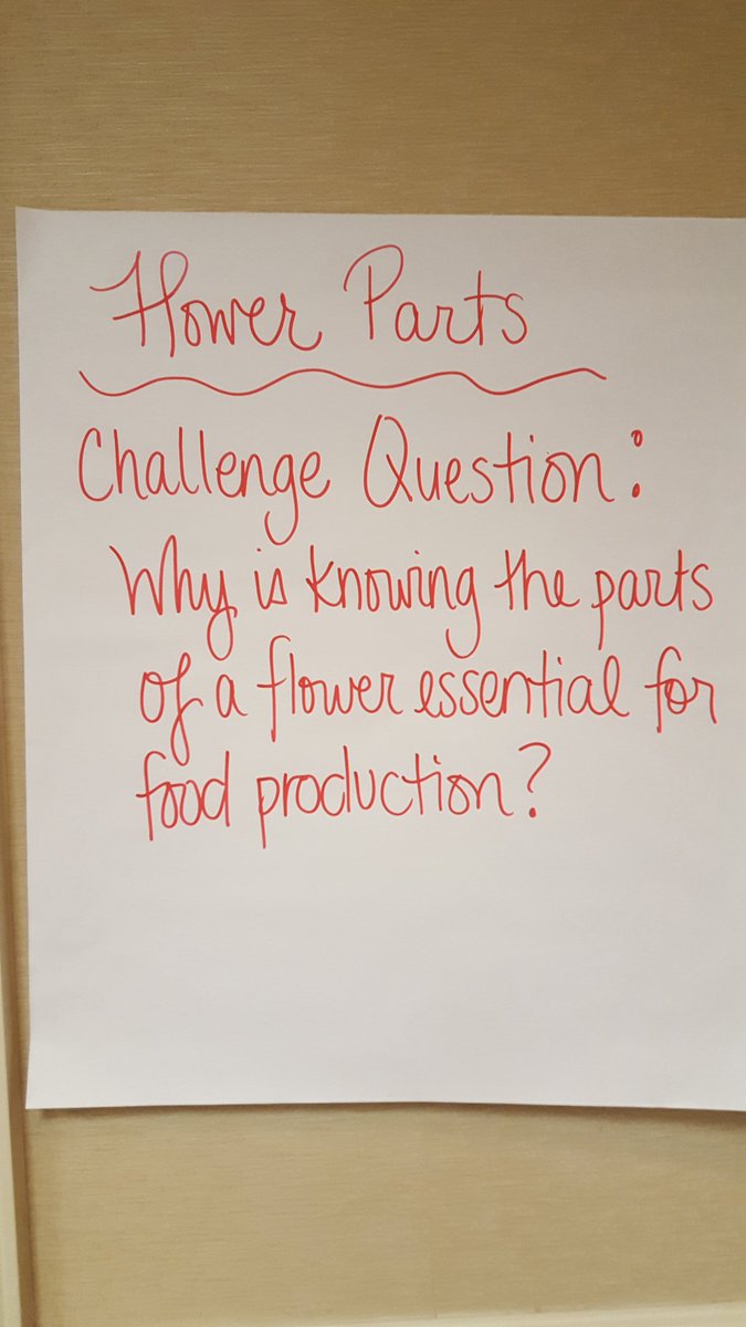 Mrs_G_RV's tweet photo. Some great ideas from inquiry lessons! #WAAEPDC #WAAEAgI2 @DuPont_News https://t.co/2YC7Y6pWwx