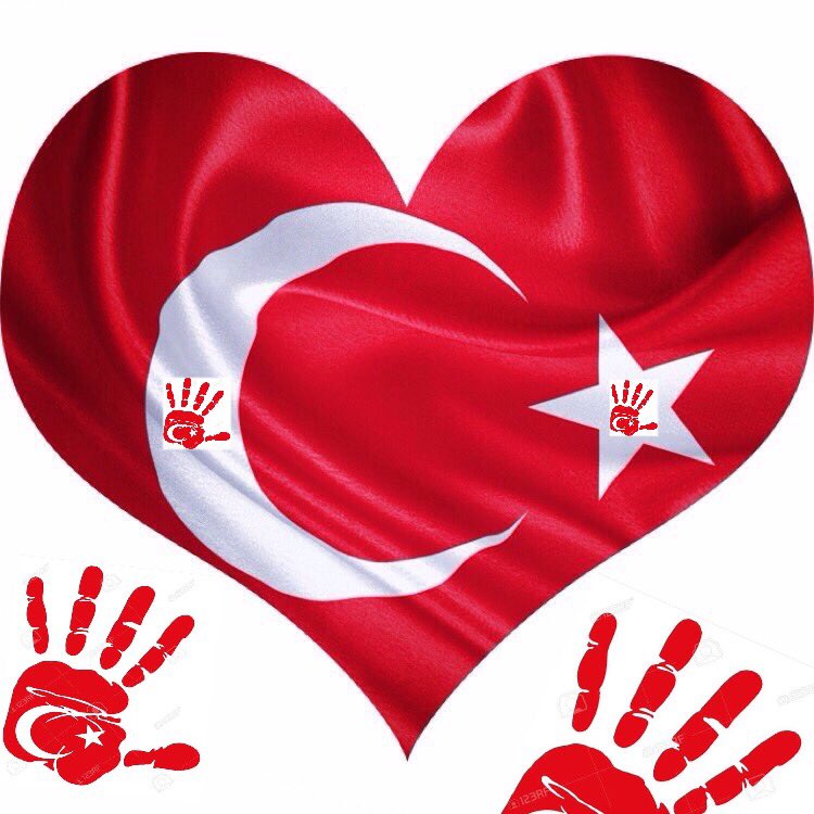 SCOTinUSA's tweet photo. #PrayForTurkey #PrayForHumanity #enoughFFS https://t.co/yD8b4LNo5z