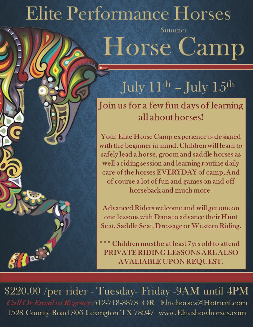 DanaCarroccia's tweet photo. Horse camp season is upon us! only a few spots left!! @eliteperfhorses @IBazley  #horsecamp #summerfun #atx https://t.co/gPNmgTPBP2