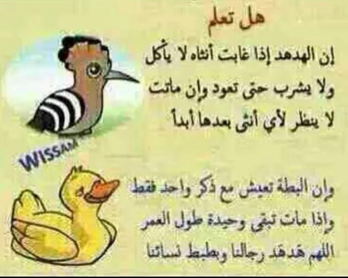hader75h's tweet photo. آمين https://t.co/9NCA8OMBJZ