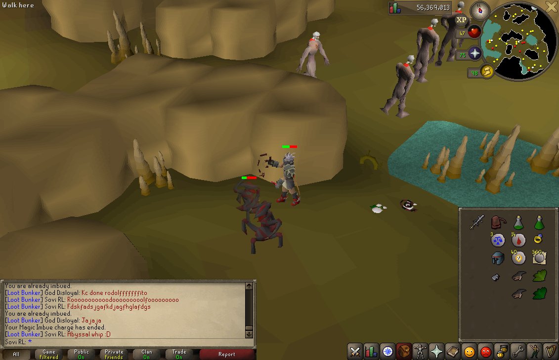 SoviRL_OSRS's tweet photo. Afortunado la verdad :D #OSRS #SoviRL #GamerMexicano https://t.co/GFpdEApILS