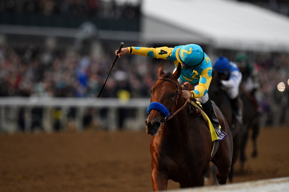 ScSouthernGal's tweet image. #Entry sot.ag/t/Dh