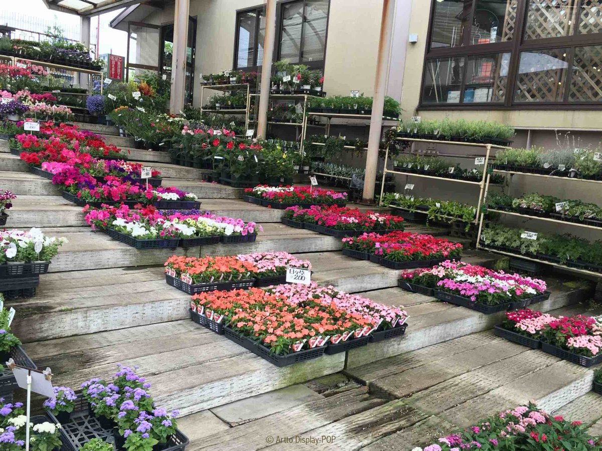 arttodisplay's tweet photo. #GardenSolution, control display budget to make it not exceed the cost of selling products in store#arttodisplay.com https://t.co/nGrcsiaA2J