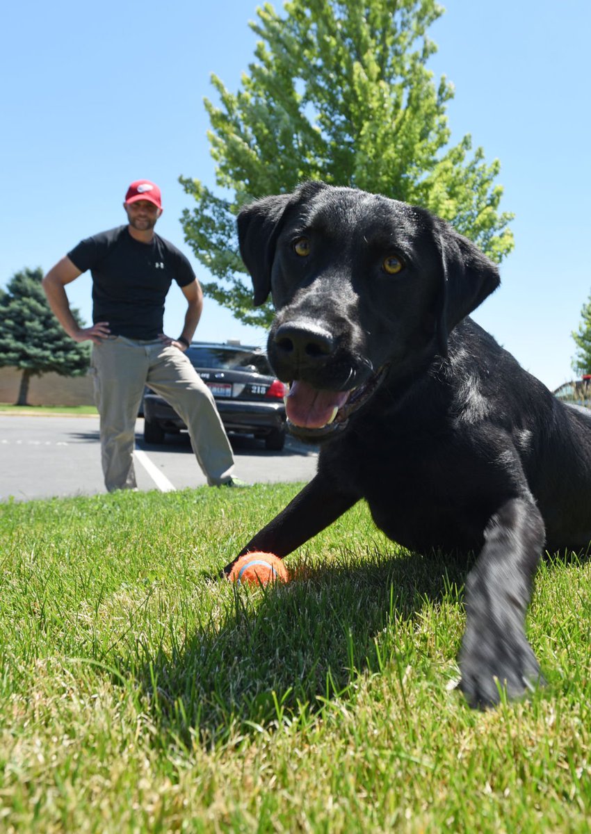 TheIdahoPress's tweet photo. Repeat offenders subject of Nampa PD's new program. @NampaPolice1 https://t.co/aHiqsntIkm https://t.co/udcVqHqFam