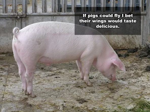 Dr. Pepper LaBeija (@blucu) on Twitter photo 