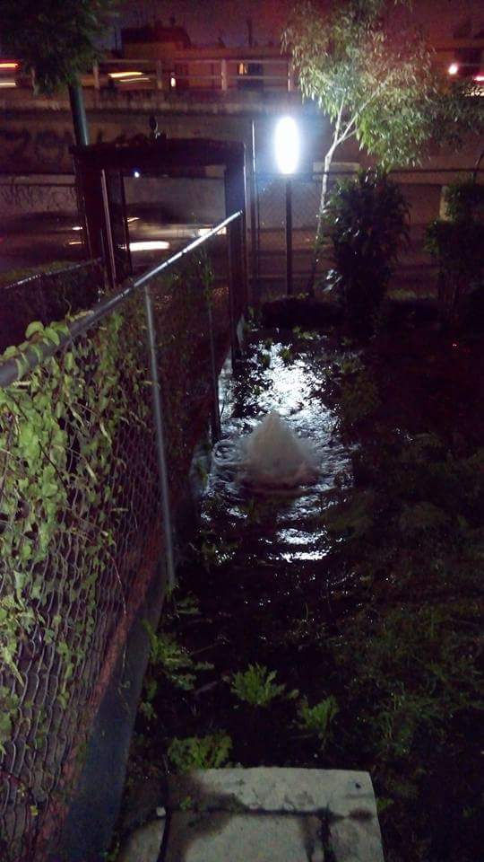 PPnave's tweet photo. @retioDF ayuda lleva 3 días troncos #47 unidad kenedi esquina Cecilio Robledo delegación venustiano Carranza https://t.co/ZRryY8eV7M