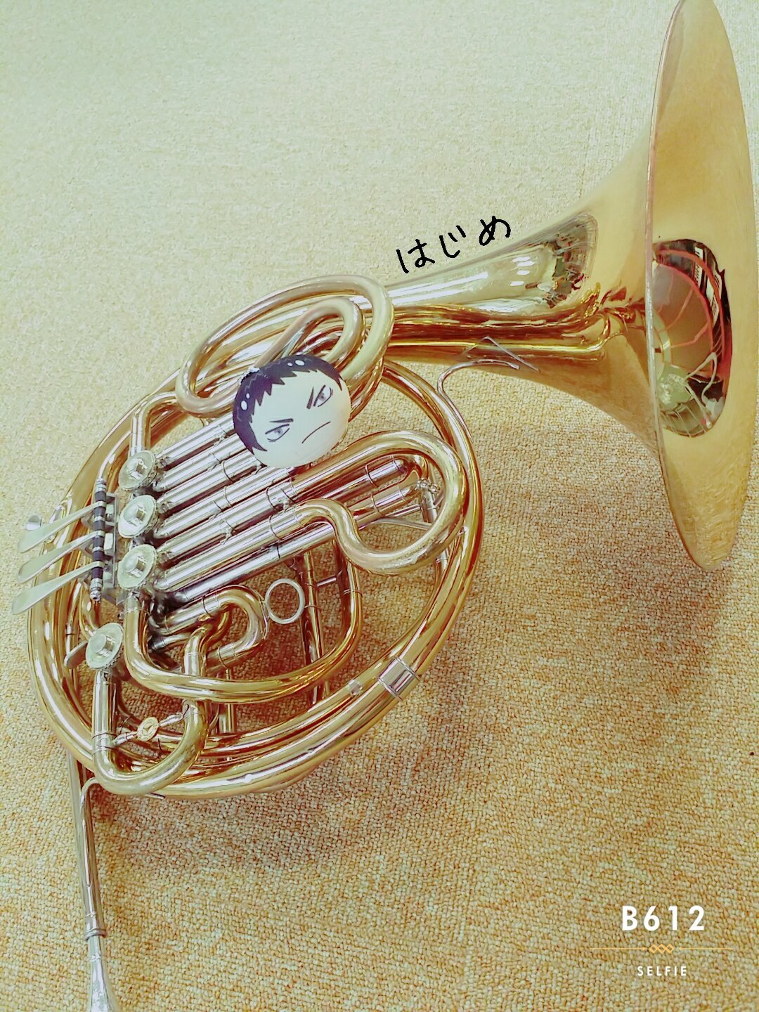 Seina Horn Seina Horn Twitter