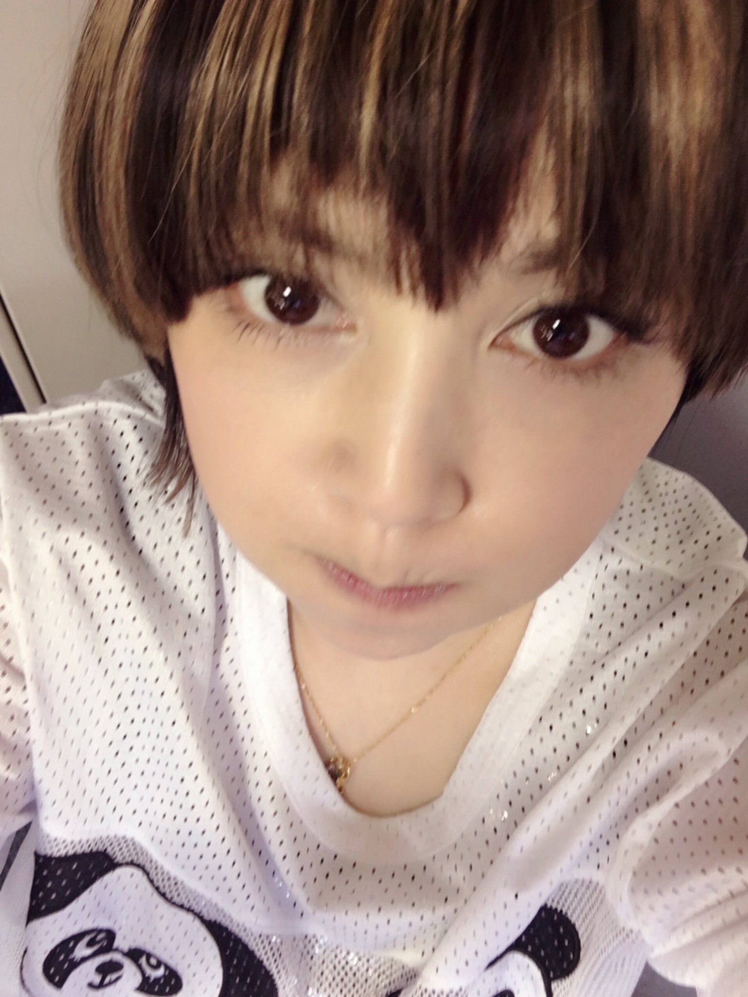 吉村由美 Twitterissa これからテレビの生放送だわさー 頑張るさー テレビ東京系だわさー みんなみてね 吉村由美 Twitterissa これからテレビの生放送だわさー 頑張るさー テレビ東京系だわさー みんなみてね