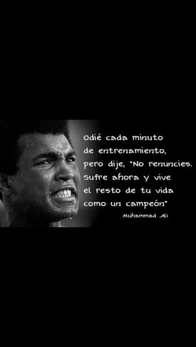 0scargatica's tweet image. 