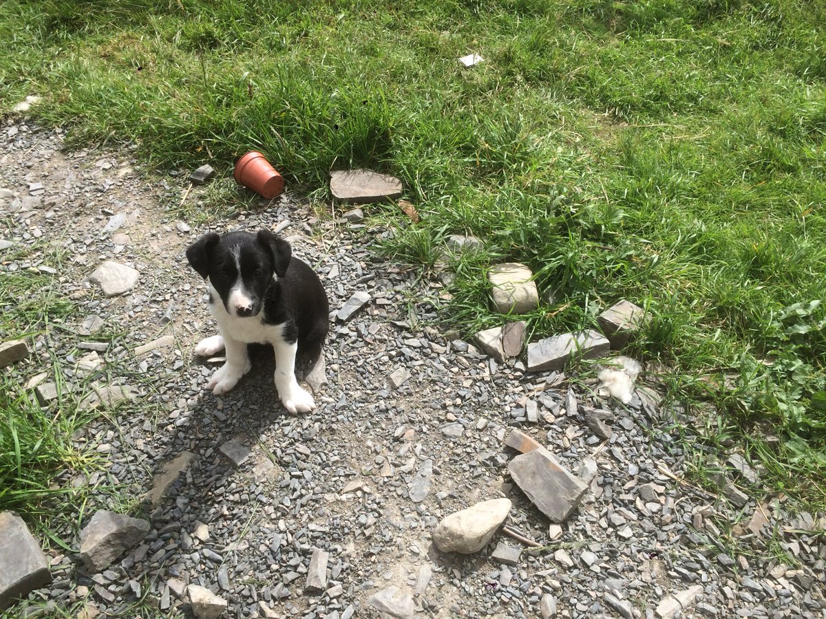 Jack Lydiate tweet media