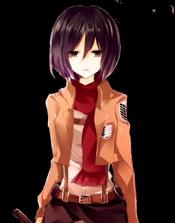 Mikasa Ackerman (@raven_red_) on Twitter photo 