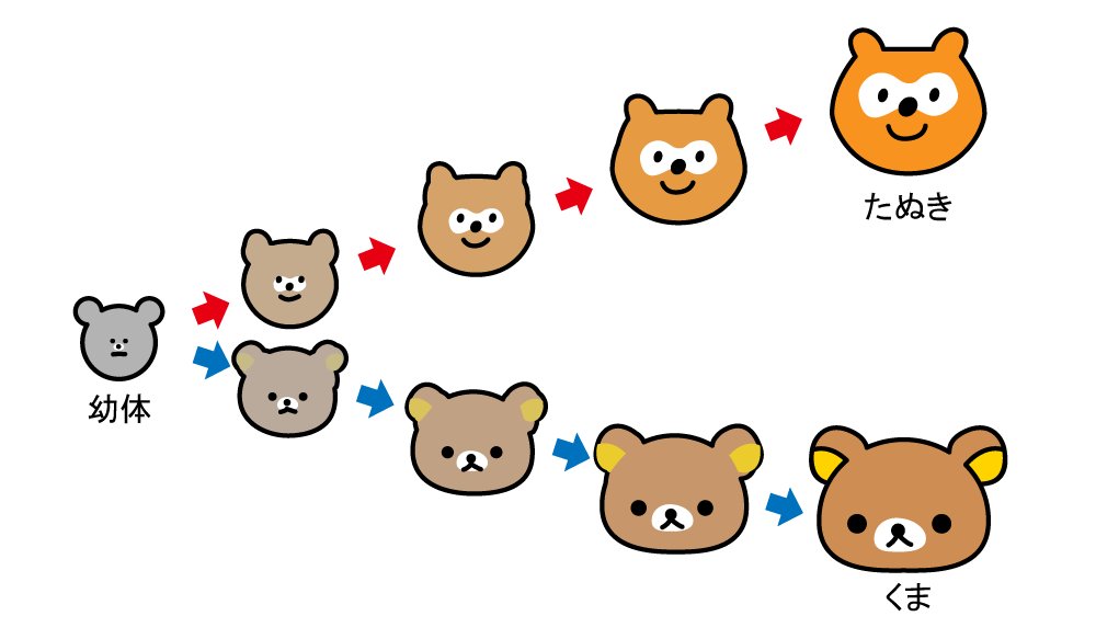 あのタヌキとあのクマが幼体の頃はめちゃくちゃ似ていたことがわかる図 Togetter あのタヌキとあのクマが幼体の頃はめちゃくちゃ似ていたことがわかる図 Togetter
