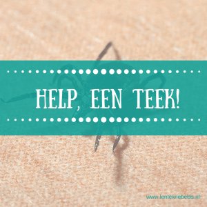 Help een teek! lentekriebelss.nl/help-een-teek/