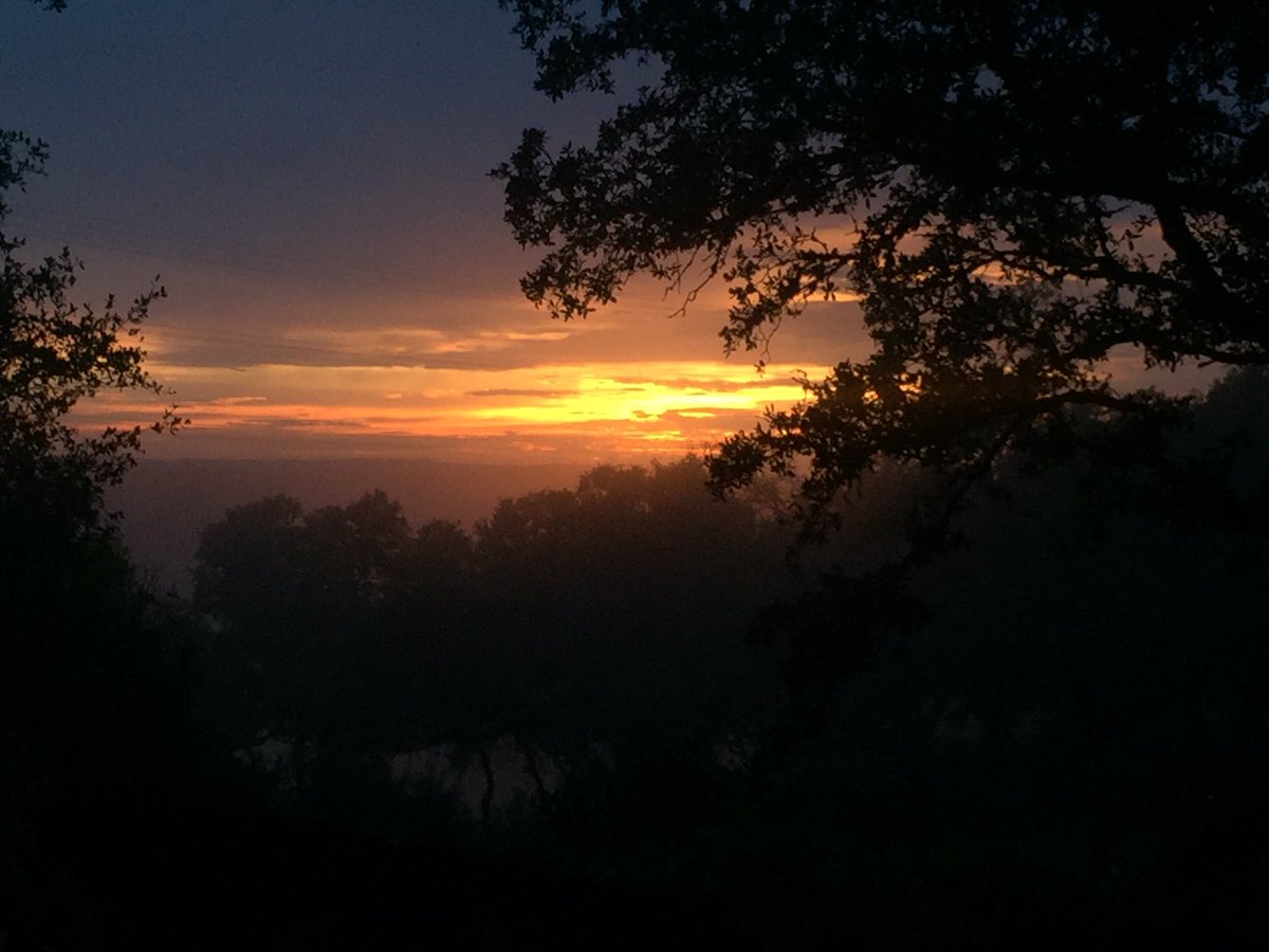 allisonolson's tweet photo. #whyiloveAustin I was in awe of tonight's #sunset while at a client's #Westlake #home. #Austin #ATXWeather #nofilter https://t.co/4uP7arQs9P