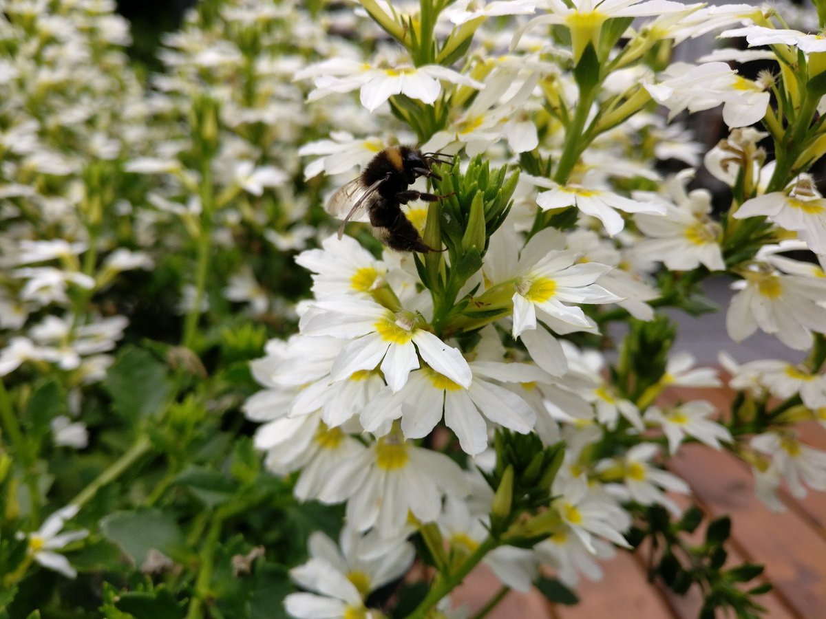 Gielk's tweet image. wat vinden jullie van deze foto's #onsplus3 #oneplusthree