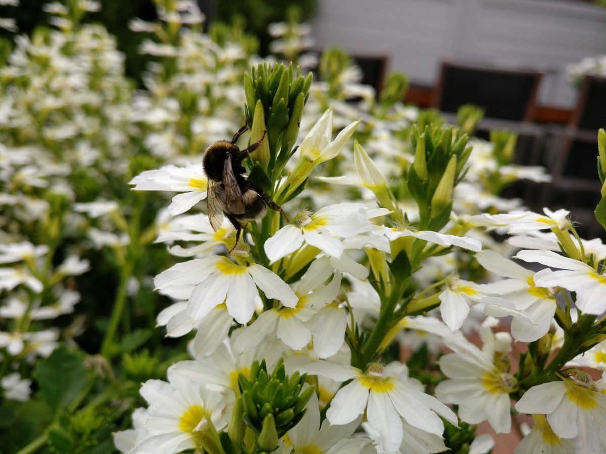 Gielk's tweet image. wat vinden jullie van deze foto's #onsplus3 #oneplusthree