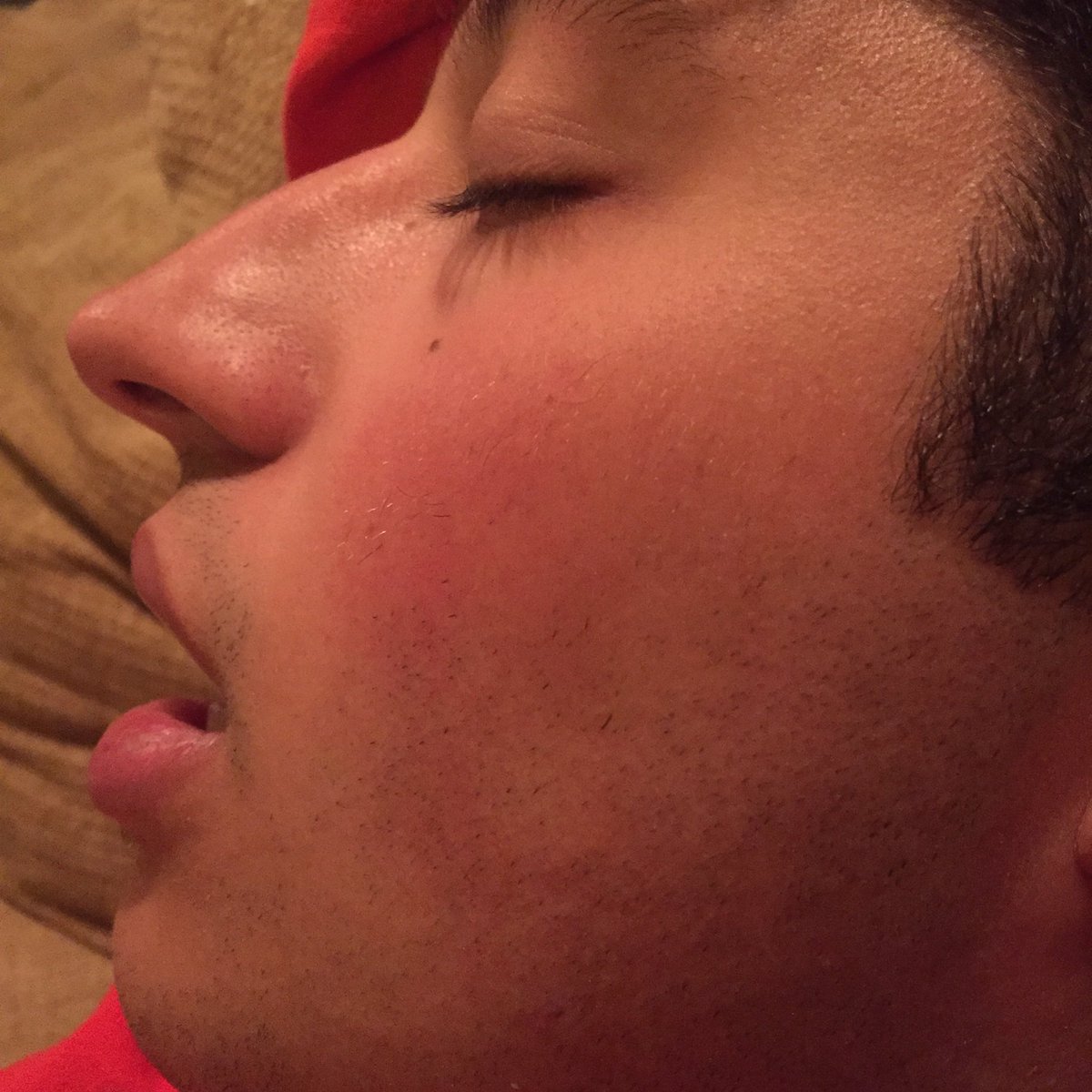 Bfedss's tweet photo. "I'm awake dude" https://t.co/8g0xDx1hH8