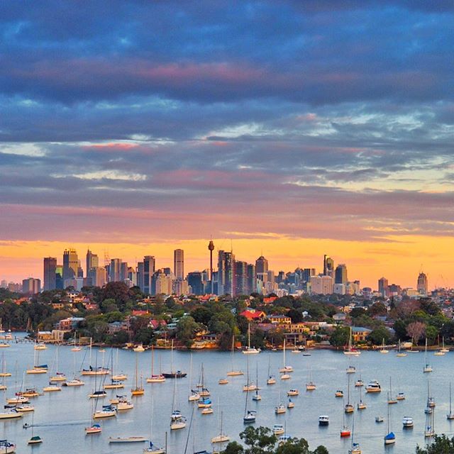 Australia's tweet image. If you thought this was a painting, we won't blame you - this photo of #Sydney is picture-perfect! (via IG/stephtee)