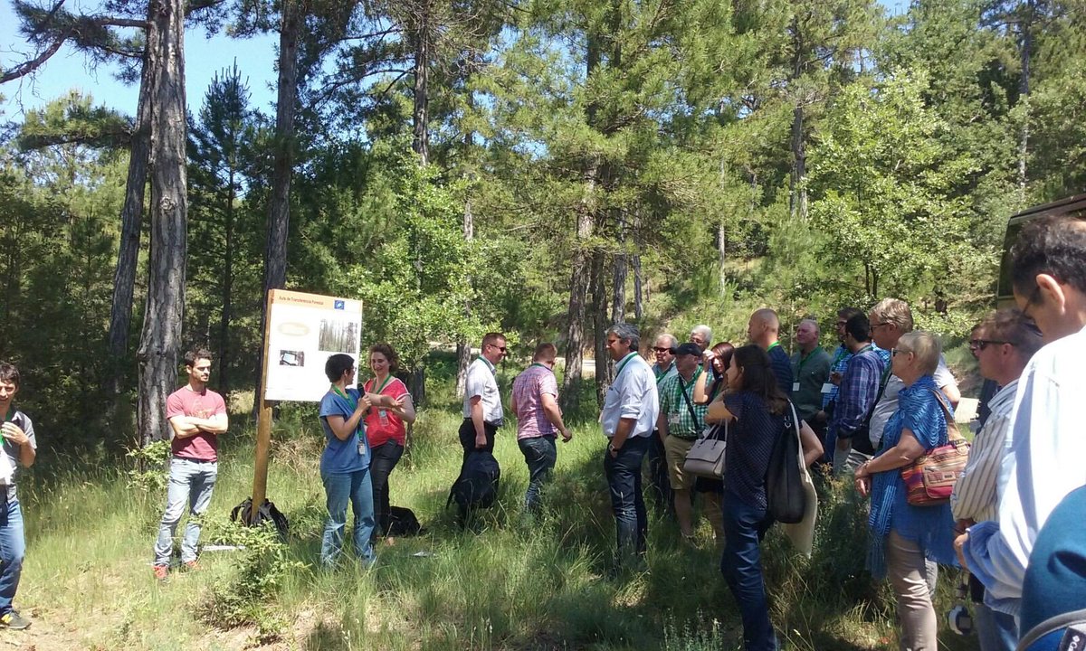 cpforestal's tweet photo. #ForestryTraining formadors forestals europeus en marcatge d'arbres en aula de transf @cpforestal #Life #Demorgest https://t.co/jwyqaQreDH