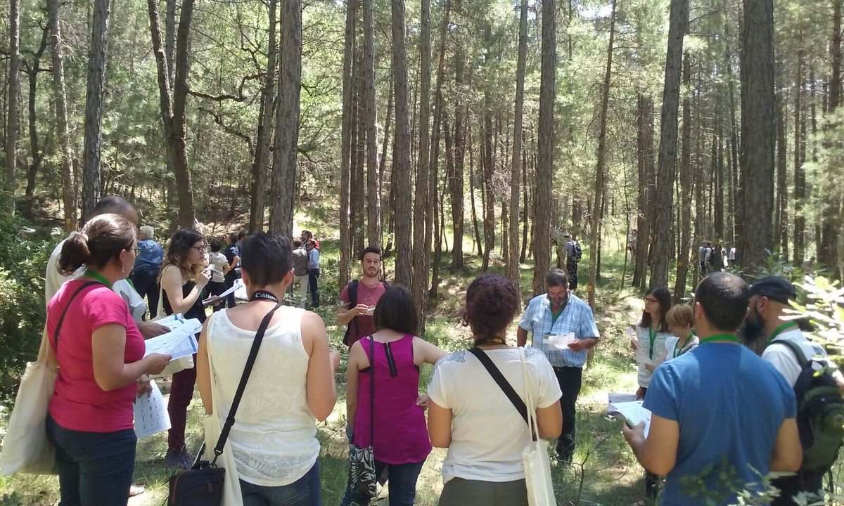 cpforestal's tweet photo. #ForestryTraining formadors forestals europeus en marcatge d'arbres en aula de transf @cpforestal #Life #Demorgest https://t.co/jwyqaQreDH