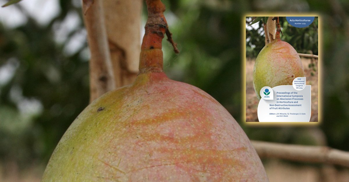 ishs_hort's tweet photo. Abscission Processes - Non-Destructive Assessment Fruit Attributes #ActaHortic #IHC2014
https://t.co/oeCO90y2D8 https://t.co/pwDG7UhoZW