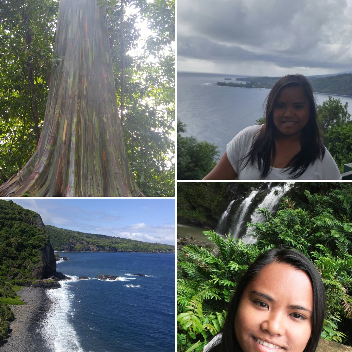 AMATravelTT's tweet photo. Spend the day on the Road to Hana day trip. A must do in Maui! #roadtohana #paradise #thatview #aloha #travelagent https://t.co/VKnfjyT2sX
