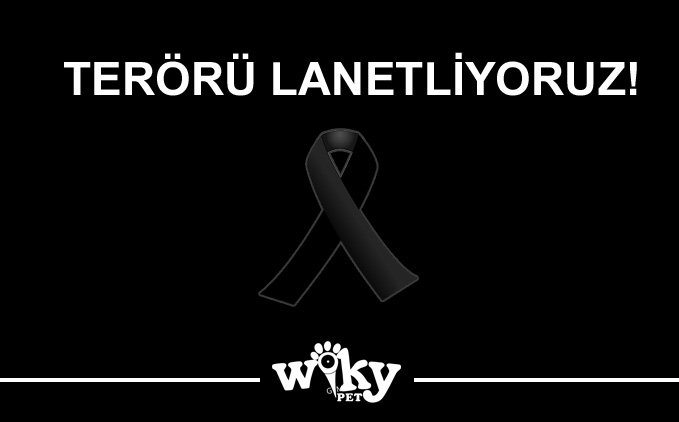 Terörü Lanetliyoruz!
wikypet.com
#lanetliyoruz #terörülanetliyoruz
