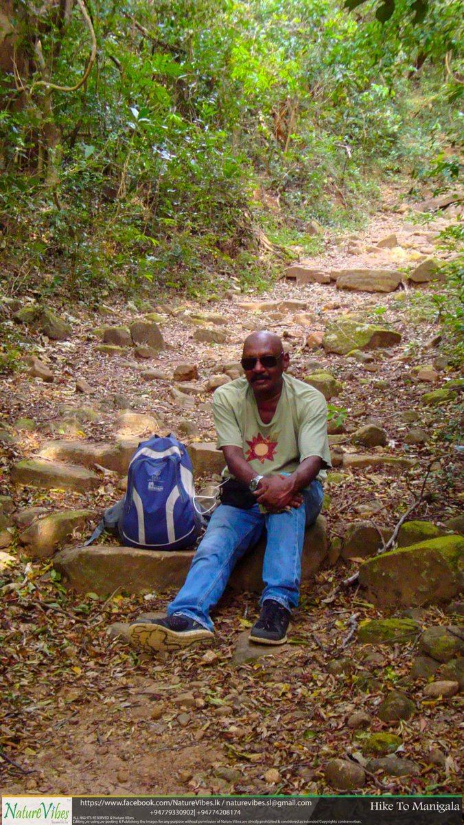 NaturevibesSl's tweet image. ‘The silence of nature is very real. It surrounds you. You can feel it’ –Ted Trueblood-